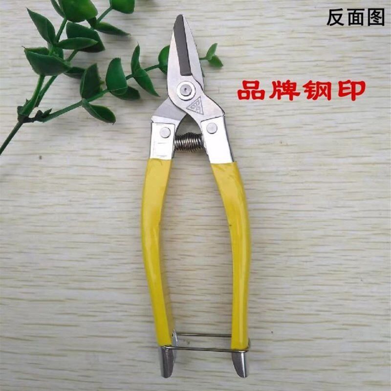 罗定小型采果剪刀采摘葡萄柑橘蔬果剪刀园林果树省力花枝修枝剪刀