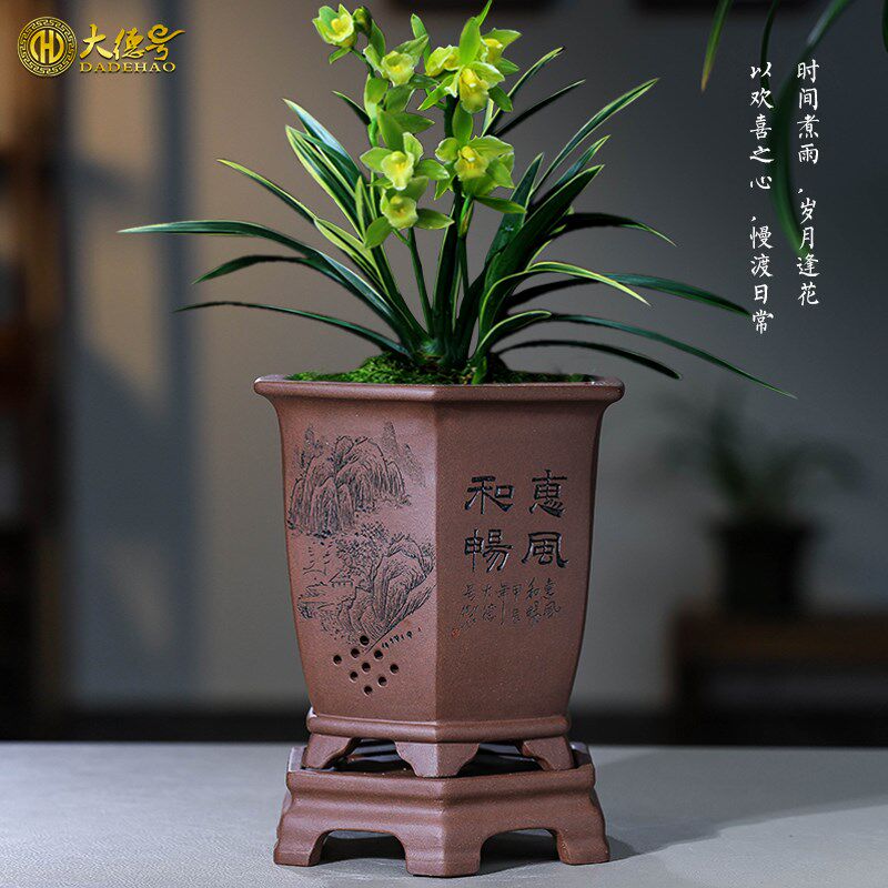 大德号紫砂兰花花盆君子兰蓝草盆景宫灯六方形带托盘盆景专用花瓶