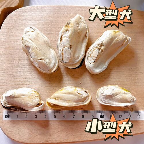 猫狗通用冻干青口贝