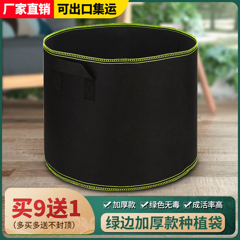 绿边种植袋月季超大无纺布美植袋加厚出口型户外阳台楼顶种花种菜图片