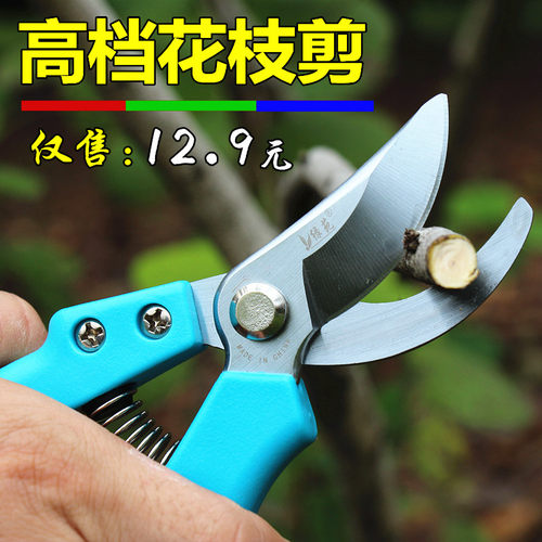 粗枝剪刀修枝剪花木葡萄摘水果修花树枝果树园艺园林家用工具神器