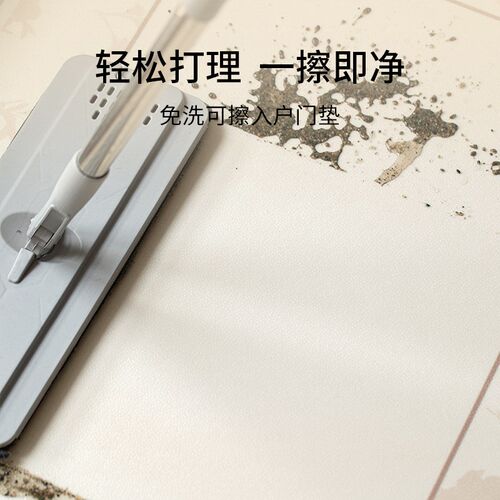 地垫入户门进门口玄关2024新款高端高级感耐脏免洗可擦洗pvc脚垫