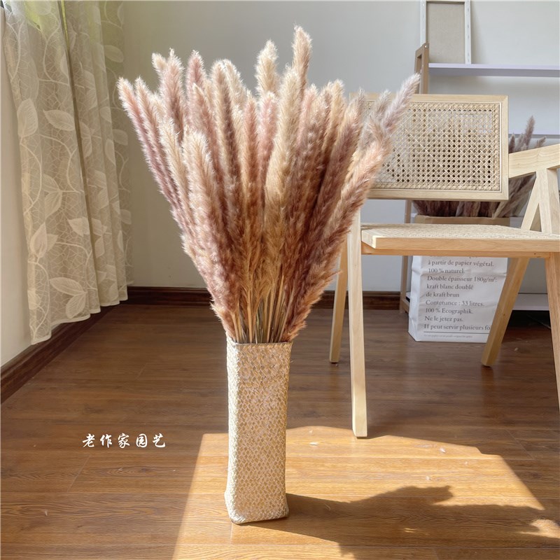 天然紫色干花真花小蒲苇民宿家居北欧风装饰花篮客厅花落地摆件