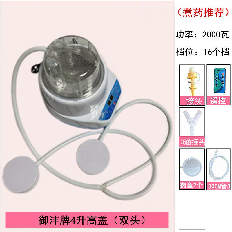 全新【各种双出气口】熏蒸机家用蒸汽机桑拿箱汗蒸泡头药材熏蒸仪