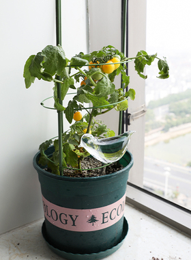 植物爬架 爬藤架 丝瓜架豆角架子黄瓜瓜架家用户外阳台花月季绿萝