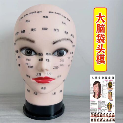 皮肤管理人头模型美容练习脸部穴位按摩洗脸软质光头假人头模型模