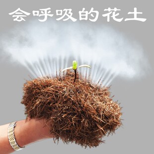 腐熟无土纯橡树叶君子兰专用腐叶土腐熟纯松针兰花专用营养土