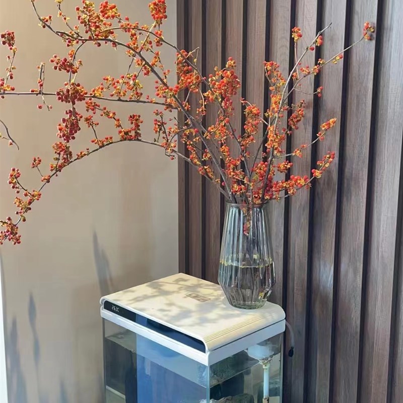 南蛇腾果南蛇藤鲜切枝条鲜花可干花长期观赏