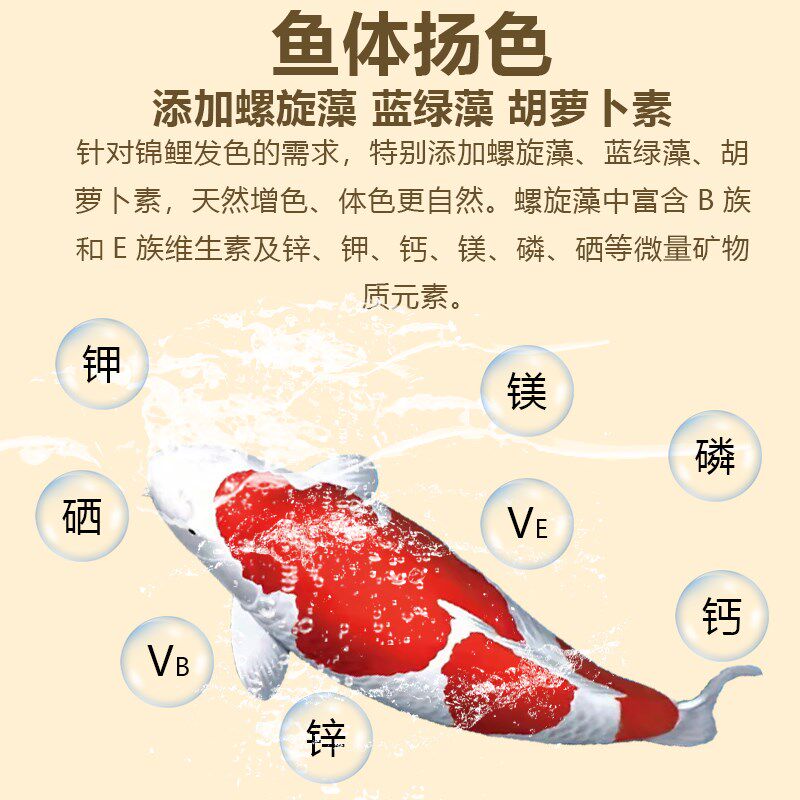 专业鱼食锦鲤鱼饲料育成色扬胚芽螺旋藻不浑水大小颗粒通用金鱼粮