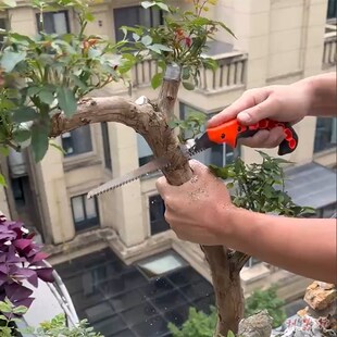 企鸿手工锯子手锯树木工锯家用园艺锯折叠锯盆景树桩三倍快速锯子