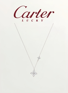 月售500条纯银双生四叶草锁骨链