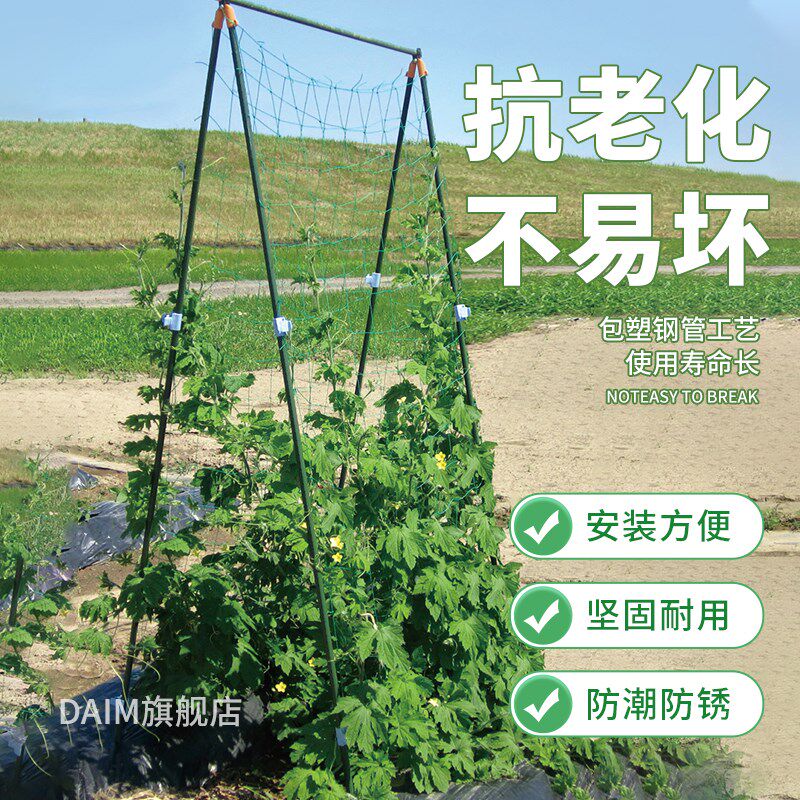 果物棚爬藤支架菜园支柱种植隔热攀爬番茄丝瓜黄瓜铁线莲风车茉莉