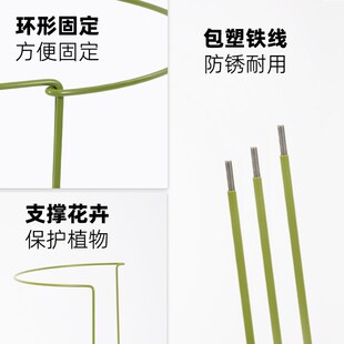 蟹爪兰花架子绣球铁艺花架藤架植物撑杆固定支撑杆爬藤架护叶支架