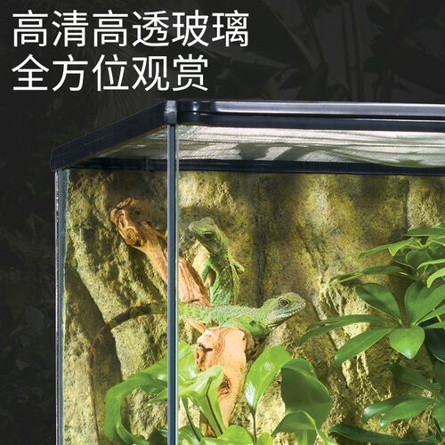 希瑾爬宠玻璃饲养缸爬虫蜥蜴角蛙睫角守宫蛇寄居蟹雨林缸造景箱