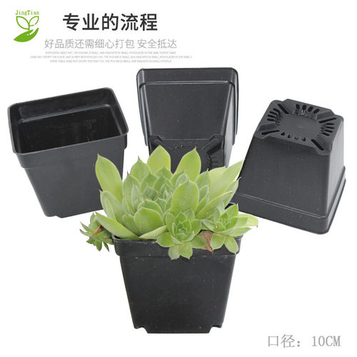 园艺花卉简约塑料育苗小黑方多肉地面播种圆口方口花盆绿植种植盆