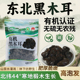 东北特产2025新货有机黑木耳干货椴木小碗耳非野生正宗一级秋木耳
