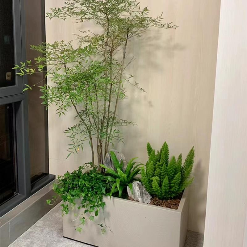 大型绿植隔断造景组合室内盆栽户外花箱植物庭院绿化