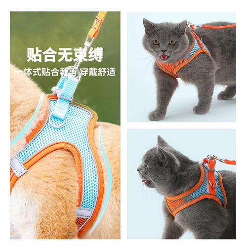 松狮幼犬专用牵引绳遛狗绳超小体犬小型犬小狗胸背狗绳狗狗用品