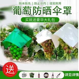 葡萄伞罩葡萄防日灼伞帽防雨防鸟遮阳伞克伦生阳光玫瑰妮娜皇后伞