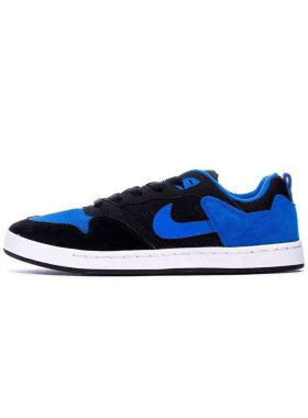 Nike SBAlleyoop Royal男子防滑耐磨复古运动低帮板鞋/CJ0882-004
