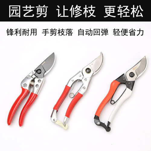 树枝修枝园林绿化园艺工具家用剪枝修花剪果树枝干省力多功能剪刀