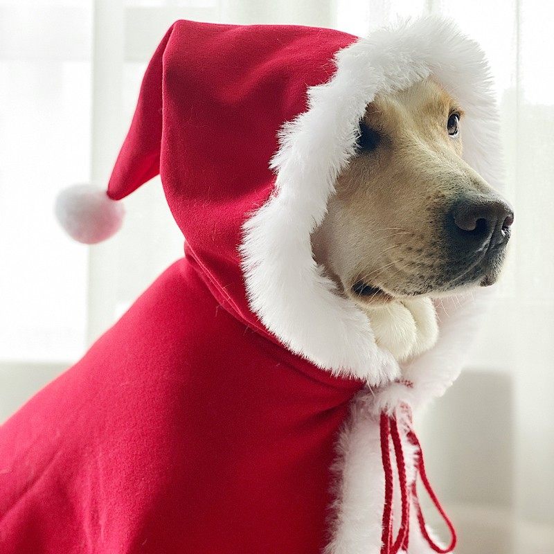 大型犬圣诞披风斗篷狗狗圣诞装饰衣服拉布拉多披肩金毛狗狗披风