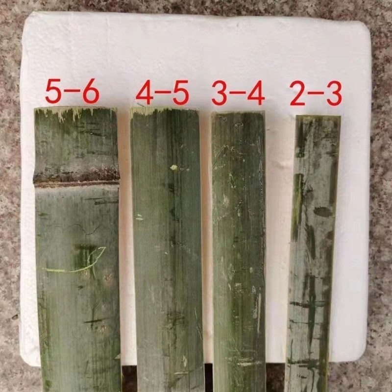 楠竹片温室大棚骨架竹批子菜地拱棚支架竹条长条竹片竹条大棚竹片