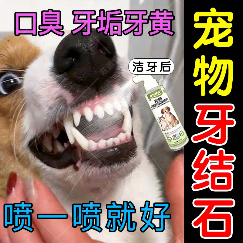宠物清新口气去牙垢预防结石喷剂