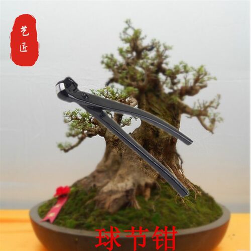 球剪球钳树瘤树结修剪园林园艺盆景养护造型修剪盆景制作专用工具