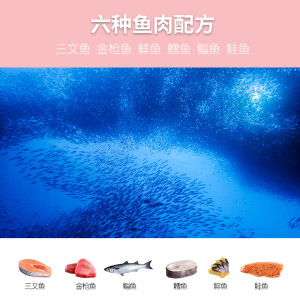味卡鲜桶装9斤猫粮鱼肉味小猫幼猫1-12月成猫营养增肥发腮通用型