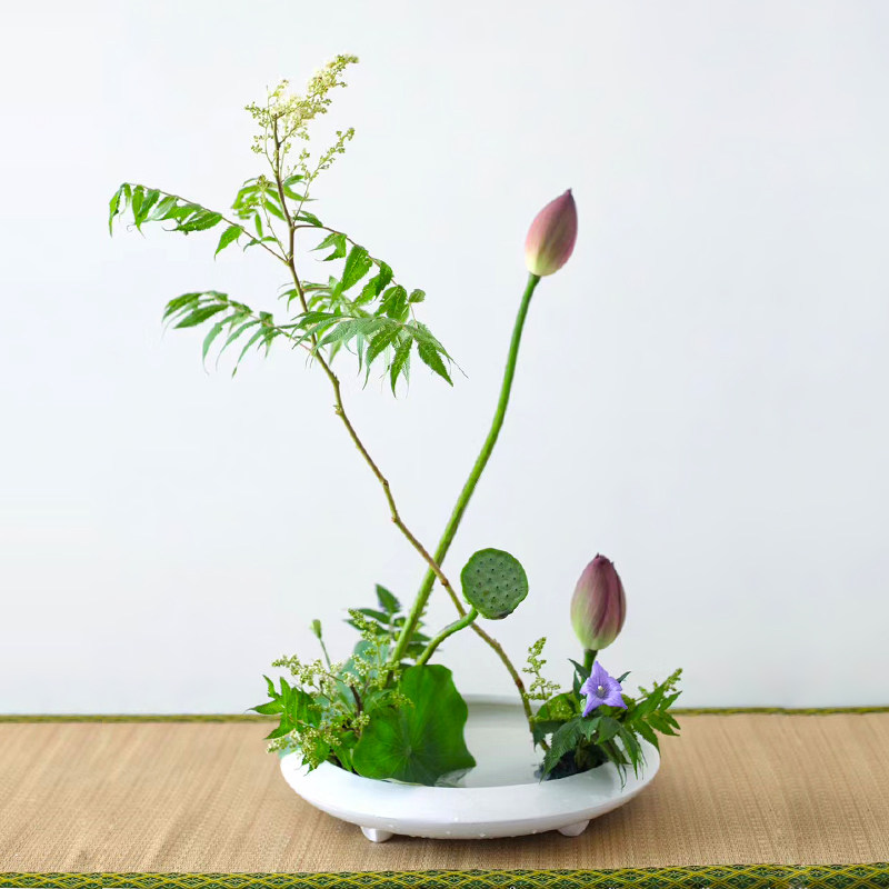 小原流花器回响双耳瓶白色陶瓷盘投入瓶精致插花花瓶器皿组合器型
