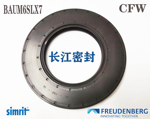 simritCFW耐高温DIN3760油封