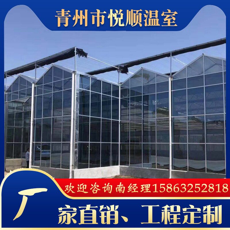 玻璃温室大棚生态餐厅温室大棚厂家大棚建造温室大棚生产建设配件 - 实物图