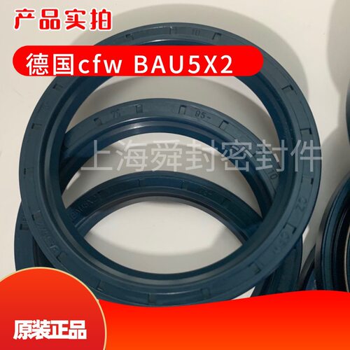 德国CFW骨架油封Dn3760