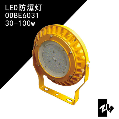 海洋王LED防爆灯20-40W