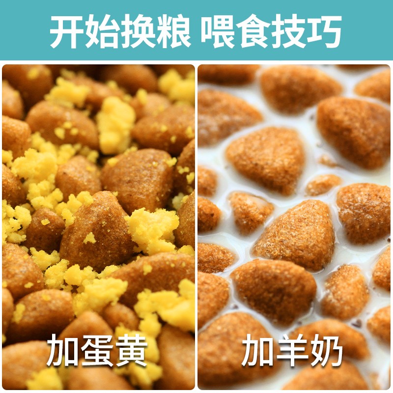 凯锐思吉娃娃狗粮专用迷你茶杯犬幼犬成犬小型犬专用粮轻泪痕20斤