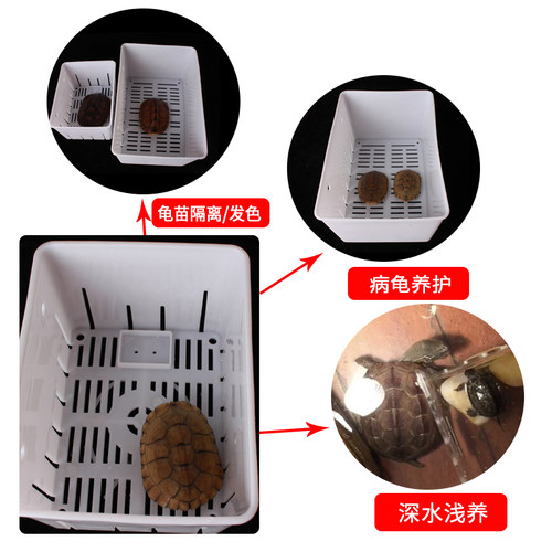 乌龟隔离盒金钱龟发色盒亚克力养龟悬浮式鱼缸水族透明乌龟分离盒