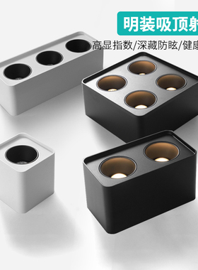 明装双头射灯led天花灯吸顶式斗胆灯客厅筒灯卧室方形无主灯照明