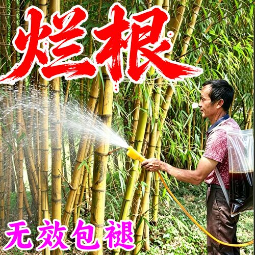 正品打竹专用剂竹子连根灭快速干枯杂草杂竹连根清打竹灭双效合一
