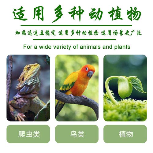 爬宠陶瓷加热灯爬虫陆龟箱蜥蜴守宫乌龟蛇刺猬树蛙只发热不发光热