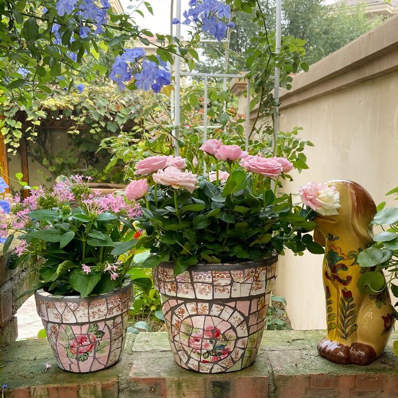 欧式玫瑰花卉月季绿植圆形花盆 庭院花园厨房阳台桌面地面花器