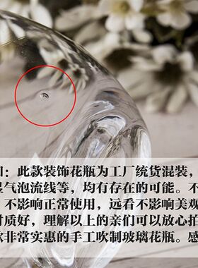 北欧 创意恐龙蛋造型花器客厅鲜花插花玻璃花瓶透明 大号装饰摆设