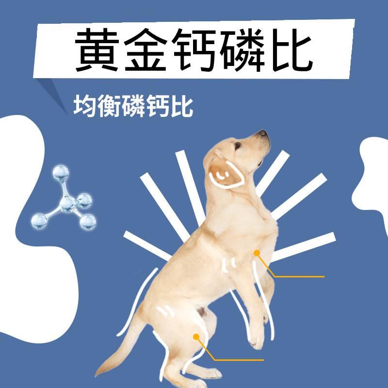 拉布拉多专用狗粮40斤装大包装100斤成犬幼犬大型犬鸡肉冻干双拼