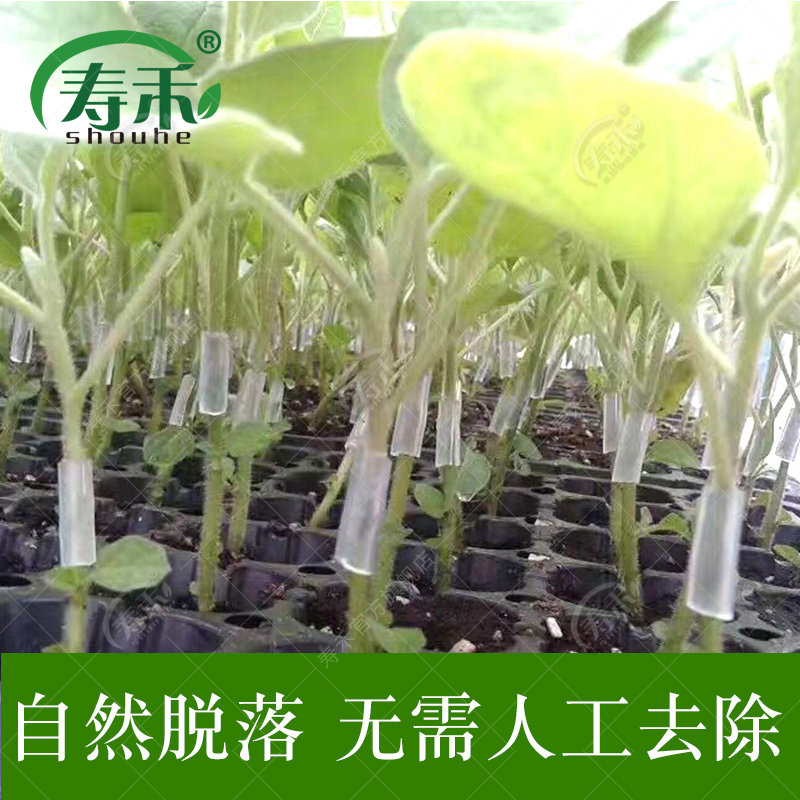 蔬菜育苗嫁接套管黄瓜塑料嫁接夹西瓜苗专用小工具夹子刀果树膜管