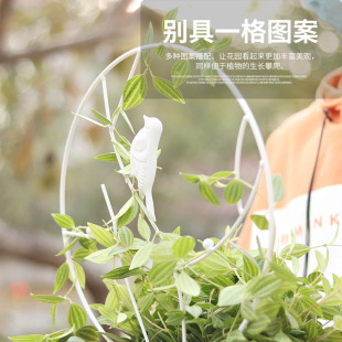 园艺铁艺造型圆形花架盆栽雪莹山乌龟甲龙爬藤小铁线莲植物爬藤架