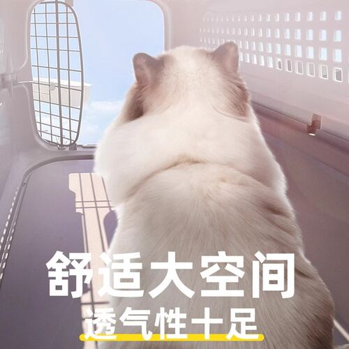 宠物航空箱狗狗托运猫咪外出猫笼狗笼金毛小大型犬便捷车载箱用品