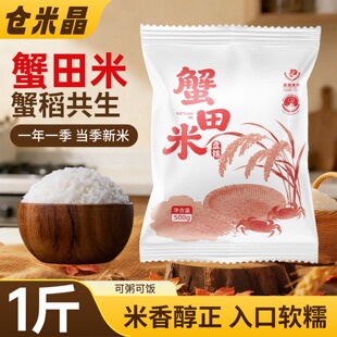 2025当季 蟹田米500g盘锦珍珠米东北大米圆粒米饭粥饭皆宜新米1斤