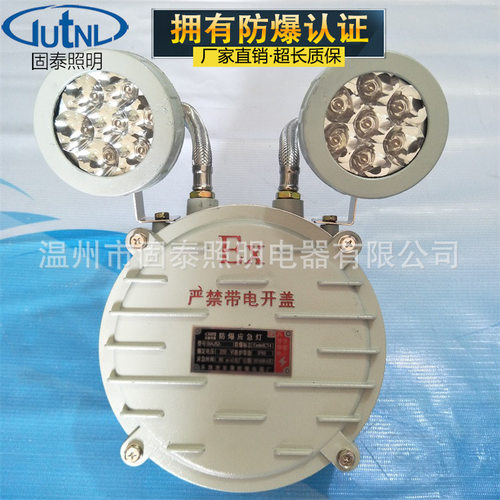 供应BCJ52-2*5W防爆应急灯 IIC防护 安全高效 通道应急灯