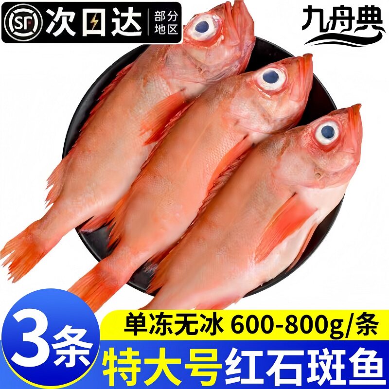 九舟典深海大眼红石斑鱼冷冻海鲜