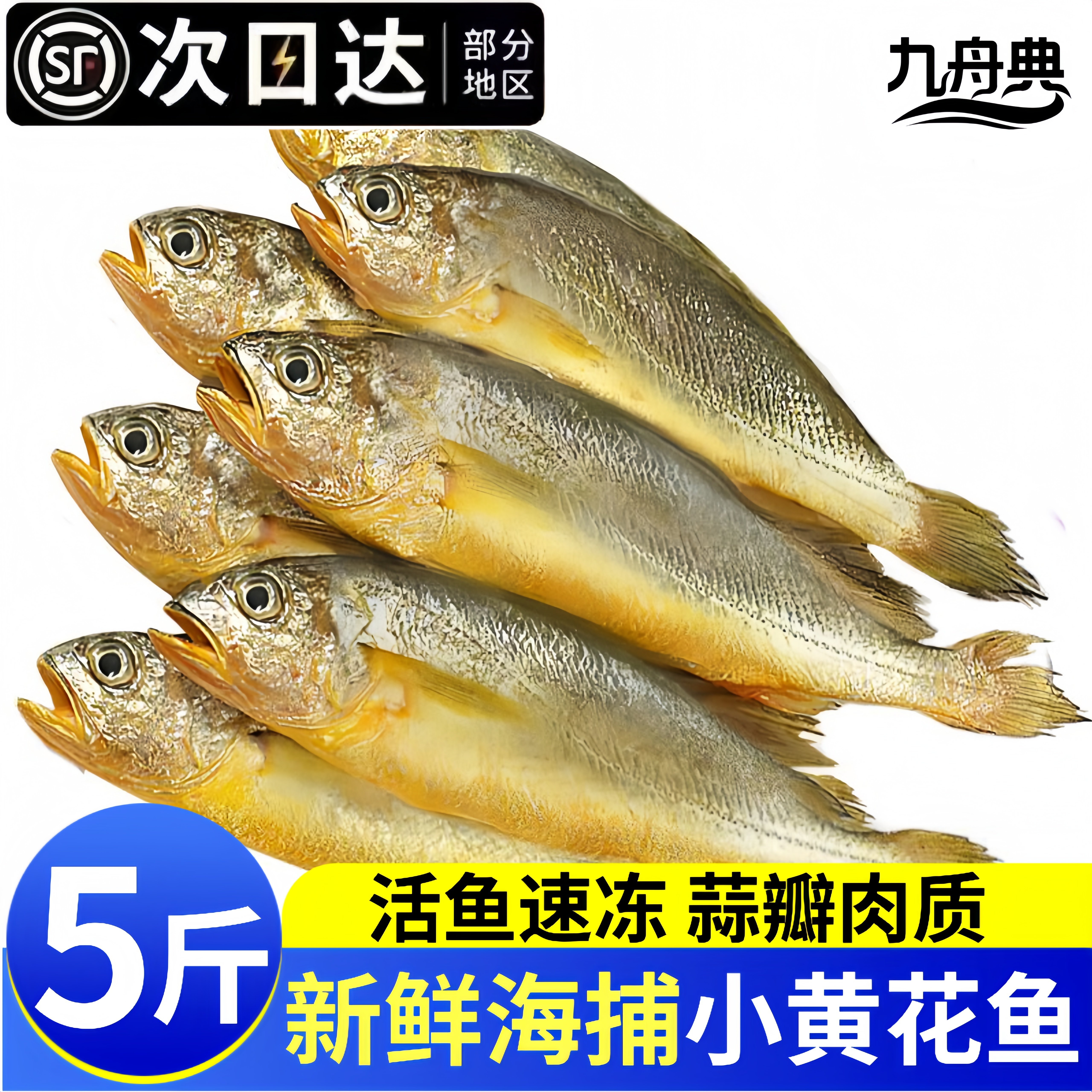 浙江新鲜冷冻小黄花鱼5斤一整箱